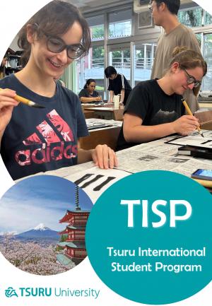 Tisp Brochure